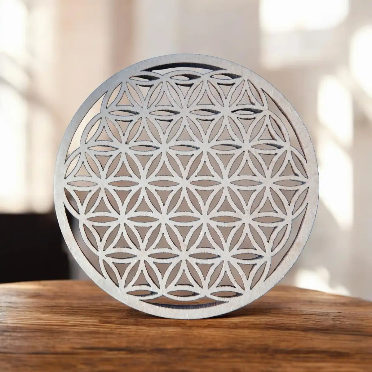 plaques de rechargement